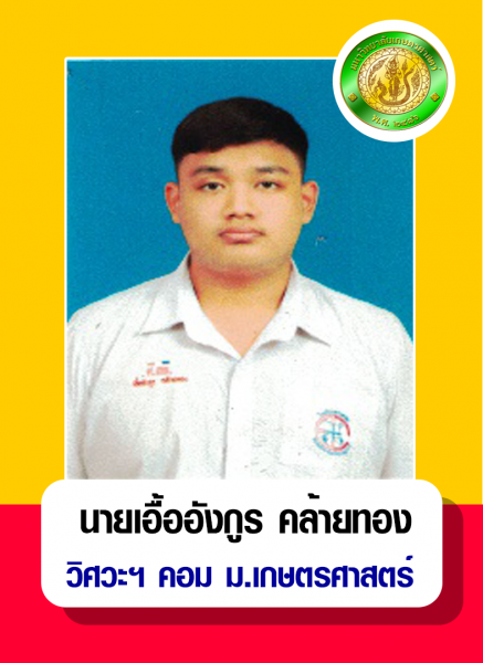 Success Engineer (11)